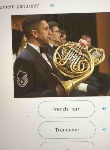 ument pictured?
French Horn 
Trombone