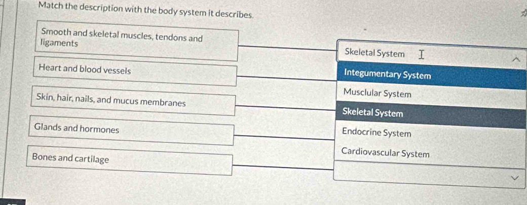 Match the description with the body system it describes.
Smooth and skeletal muscles, tendons and
ligaments Skeletal System
Heart and blood vessels
Integumentary System
Musclular System
Skin, hair, nails, and mucus membranes Skeletal System
Glands and hormones
Endocrine System
Cardiovascular System
Bones and cartilage