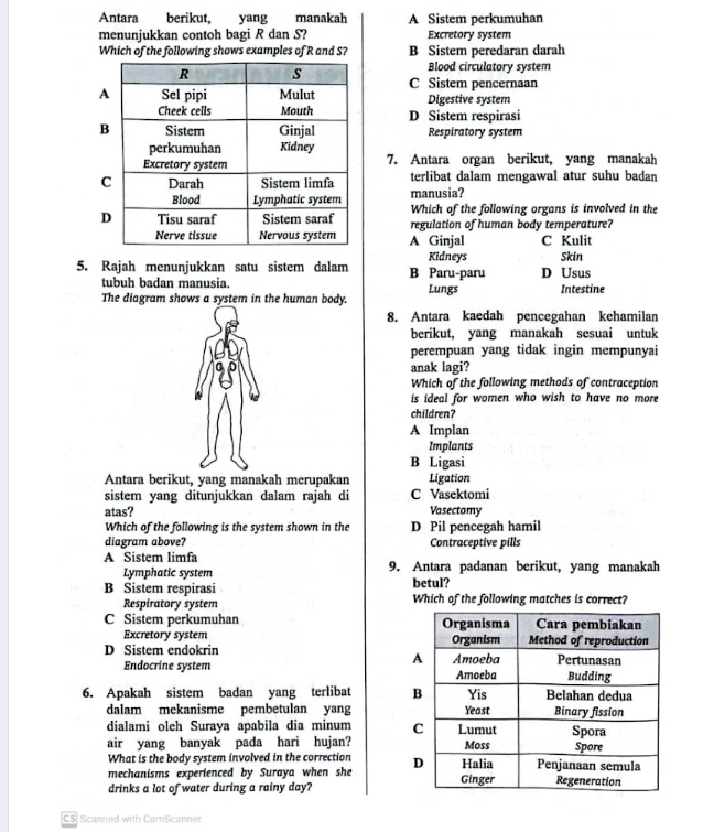 Antara berikut, yang manakah A Sistem perkumuhan
menunjukkan contoh bagi R dan S? Excretory system
Which of the following shows examples of R and S? B Sistem peredaran darah
Blood circulatory system
C Sistem pencernaan
Digestive system
D Sistem respirasi
Respiratory system
7. Antara organ berikut, yang manakah
manusia? terlibat dalam mengawal atur suhu badan
Which of the following organs is involved in the
regulation of human body temperature?
A Ginjal C Kulit
Skin
5. Rajah menunjukkan satu sistem dalam B Paru-paru Kidneys D Usus
tubuh badan manusia.
The diagram shows a system in the human body. Lungs Intestine
8. Antara kaedah pencegahan kehamilan
berikut, yang manakah sesuai untuk
perempuan yang tidak ingin mempunyai
anak lagi?
Which of the following methods of contraception
is ideal for women who wish to have no more
children?
A Implan
Implants
B Ligasi
Antara berikut, yang manakah merupakan Ligation
sistem yang ditunjukkan dalam rajah di C Vasektomi
atas? Vasectomy
Which of the following is the system shown in the D Pil pencegah hamil
diagram above? Contraceptive pills
A Sistem limfa 9. Antara padanan berikut, yang manakah
Lymphatic system
B Sistem respirasi betul?
Respiratory system Which of the following matches is correct?
C Sistem perkumuhan 
Excretory system
D Sistem endokrin 
Endocrine system 
6. Apakah sistem badan yang terlibat 
dalam mekanisme pembetulan yang
dialami oleh Suraya apabila dia minum 
air yang banyak pada hari hujan?
What is the body system involved in the correction 
mechanisms experienced by Suraya when she
drinks a lot of water during a rainy day? 
CS Scanned with CamScanner