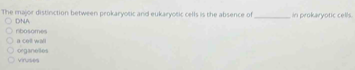 The major distinction between prokaryotic and eukaryotic cells is the absence of _in prokaryotic cells.
DNA
ribosomes
a cell wall
organelles
viruses