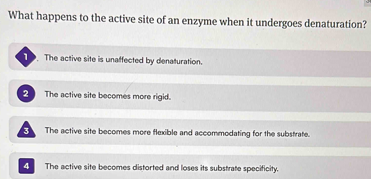 What happens to the active site of an enzyme when it undergoes denaturation?
The active site is unaffected by denaturation.
2 The active site becomes more rigid.
3 The active site becomes more flexible and accommodating for the substrate.
4 The active site becomes distorted and loses its substrate specificity.