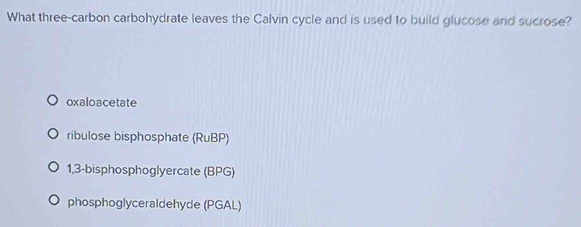 What three-carbon carbohydrate leaves the Calvin cycle and is used to build glucose and sucrose?
oxaloacetate
ribulose bisphosphate (RuBP)
1,3-bisphosphoglyercate (BPG)
phosphoglyceraldehyde (PGAL)