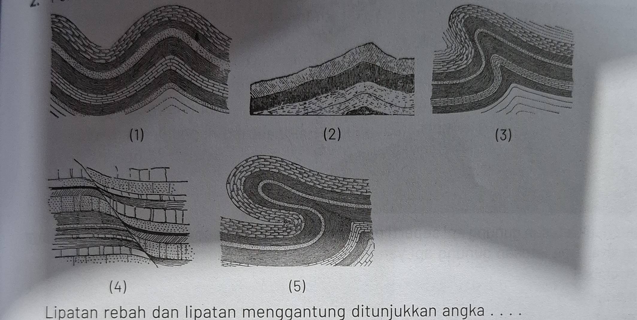 he 
(1) (2) (3) 
(4) (5) 
Lipatan rebah dan lipatan menggantung ditunjukkan angka . . . .