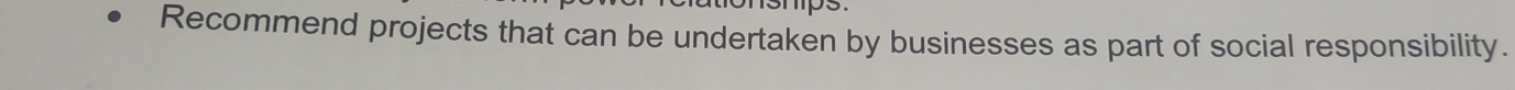 Recommend projects that can be undertaken by businesses as part of social responsibility.