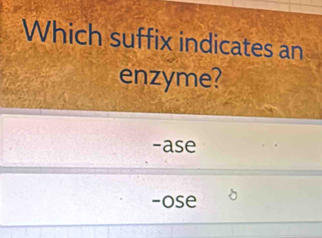 Which suffix indicates an
enzyme?
-ase
-ose