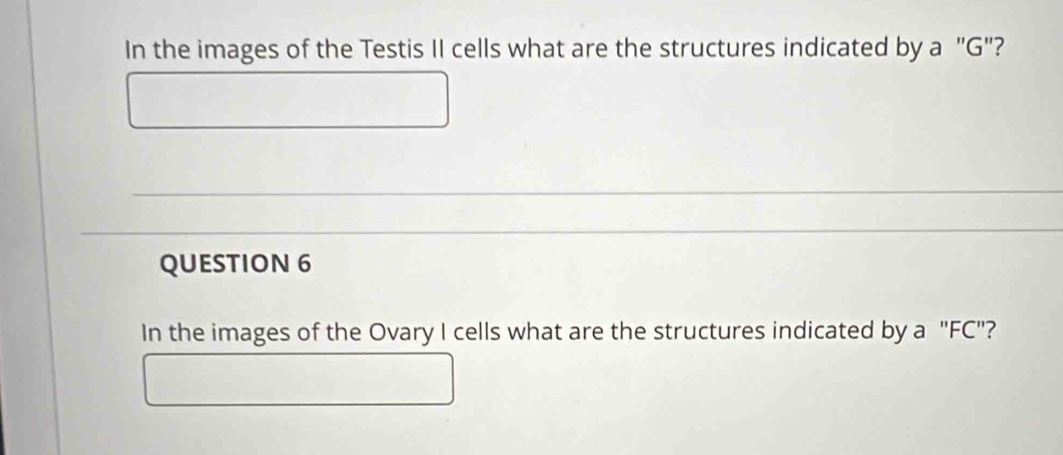 In the images of the Testis II cells what are the structures indicated by a "G"? 
QUESTION 6 
In the images of the Ovary I cells what are the structures indicated by a "FC"?