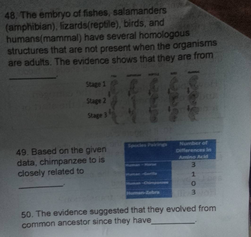 The embryo of fishes, salamanders 
(amphibian), lizards(reptile), birds, and 
humans(mammal) have several homologous 
structures that are not present when the organisms 
are adults. The evidence shows that they are from 
_: 
Stage 1 
Stage 2 
Stage 3 
49. Based on the given 
data, chimpanzee to is 
closely related to 
_ 
50. The evidence suggested that they evolved from 
common ancestor since they have_ 
"