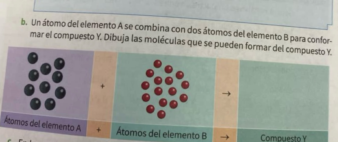 Un átomo del elemento A se combina con dos átomos del elemento B para confor- 
mar el compuesto Y. Dibuja las moléculas que se pueden formar del compuesto Y. 
+ 
Átomos del elemento A + Átomos del elemento B 
Compuesto Y