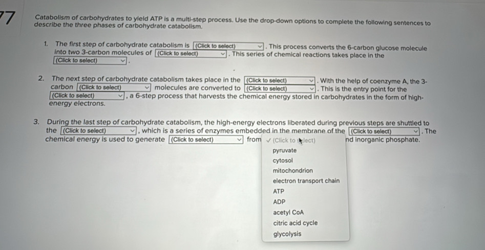 Catabolism of carbohydrates to yield ATP is a multi-step process. Use the drop-down options to complete the following sentences to
7 describe the three phases of carbohydrate catabolism.
1. The first step of carbohydrate catabolism is (Click to select . This process converts the 6 -carbon glucose molecule
into two 3 -carbon molecules of [(Click to select) . This series of chemical reactions takes place in the
(Click to select)
2. The next step of carbohydrate catabolism takes place in the (Click to select) . With the help of coenzyme A, the 3 -
carbon (Click to select) molecules are converted to (Click to select) . This is the entry point for the
(Click to select) , a 6 -step process that harvests the chemical energy stored in carbohydrates in the form of high-
energy electrons.
3. During the last step of carbohydrate catabolism, the high-energy electrons liberated during previous steps are shuttled to
the (Click to select) , which is a series of enzymes embedded in the membrane of the (Click to select) . The
chemical energy is used to generate (Click to select) from √ (Click to select) nd inorganic phosphate.
pyruvate
cytosol
mitochondrion
electron transport chain
ATP
ADP
acetyl CoA
citric acid cycle
glycolysis