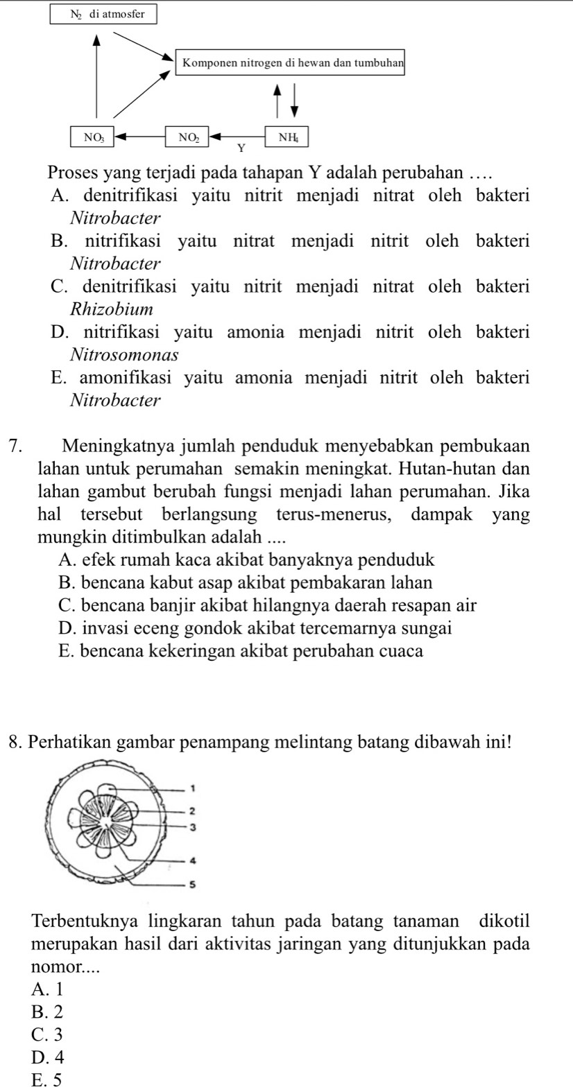 Ndiatmosfer
Proses yang terjadi pada tahapan Y adalah perubahan …
A. denitrifikasi yaitu nitrit menjadi nitrat oleh bakteri
Nitrobacter
B. nitrifikasi yaitu nitrat menjadi nitrit oleh bakteri
Nitrobacter
C. denitrifikasi yaitu nitrit menjadi nitrat oleh bakteri
Rhizobium
D. nitrifikasi yaitu amonia menjadi nitrit oleh bakteri
Nitrosomonas
E. amonifikasi yaitu amonia menjadi nitrit oleh bakteri
Nitrobacter
7. Meningkatnya jumlah penduduk menyebabkan pembukaan
lahan untuk perumahan semakin meningkat. Hutan-hutan dan
lahan gambut berubah fungsi menjadi lahan perumahan. Jika
hal tersebut berlangsung terus-menerus, dampak yang
mungkin ditimbulkan adalah ....
A. efek rumah kaca akibat banyaknya penduduk
B. bencana kabut asap akibat pembakaran lahan
C. bencana banjir akibat hilangnya daerah resapan air
D. invasi eceng gondok akibat tercemarnya sungai
E. bencana kekeringan akibat perubahan cuaca
8. Perhatikan gambar penampang melintang batang dibawah ini!
Terbentuknya lingkaran tahun pada batang tanaman dikotil
merupakan hasil dari aktivitas jaringan yang ditunjukkan pada
nomor.…
A. 1
B. 2
C. 3
D. 4
E. 5