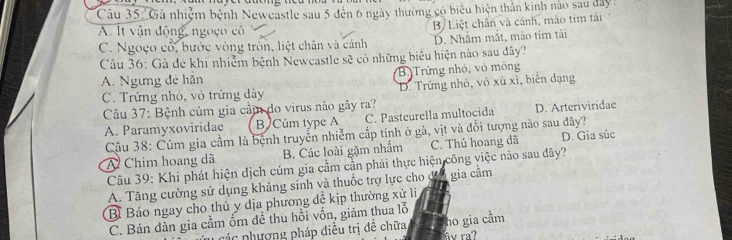 ' Gà nhiệm bệnh Neweastle sau 5 đến 6 ngày thường có biểu hiện thân kinh nào sau dây'
A. Ít vận động, ngoço cô
B. Liệt chân và cánh, mào tim tải
C. Ngoço cổ, bước vòng tròn, liệt chân và cảnh D. Nhẫm mắt, mào tím tải
Câu 36: Gà đẻ khí nhiễm bệnh Newcastle sẽ có những biểu hiện nào sau đây?
A. Ngưng đẻ hãn B. Trứng nhỏ, vô mông
C. Trứng nhỏ, vô trứng dày D. Trứng nhỏ, vỏ xù xỉ, biến dạng
Câu 37: Bệnh cúm gia cảm do virus nào gây ra?
A. Paramyxoviridae B Cúm type A C. Pasteurella multocida D. Arteriviridae
Câu 38: Cúm gia cầm là bệnh truyển nhiễm cấp tinh ở gà, vịt và đổi tượng nào sau đây?
A Chim hoang dã B. Các loài gặm nhầm C. Thủ hoang dã D. Gia súc
Câu 39: Khi phát hiện dịch cúm gia cầm cần phải thực hiện công việc nào sau dây?
A. Tăng cường sử dụng kháng sinh và thuốc trợ lực cho dịo gia cầm
Bì Báo ngay cho thủ y dịa phương đề kịp thường xử lí
C. Bán dàn gia cầm ốm đề thu hồi vốn, giảm thua lỗ
ho gia cầm
các nhượng pháp điều trị đề chữa âv ra?