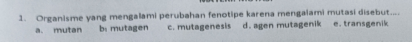 Organisme yang mengalami perubahan fenotipe karena mengalami mutasi disebut....
a. mutan b: mutagen c. mutagenesis d. agen mutagenik e. transgenik