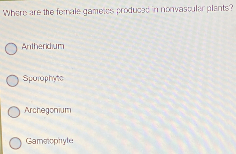 Where are the female gametes produced in nonvascular plants?
Antheridium
Sporophyte
Archegonium
Gametophyte