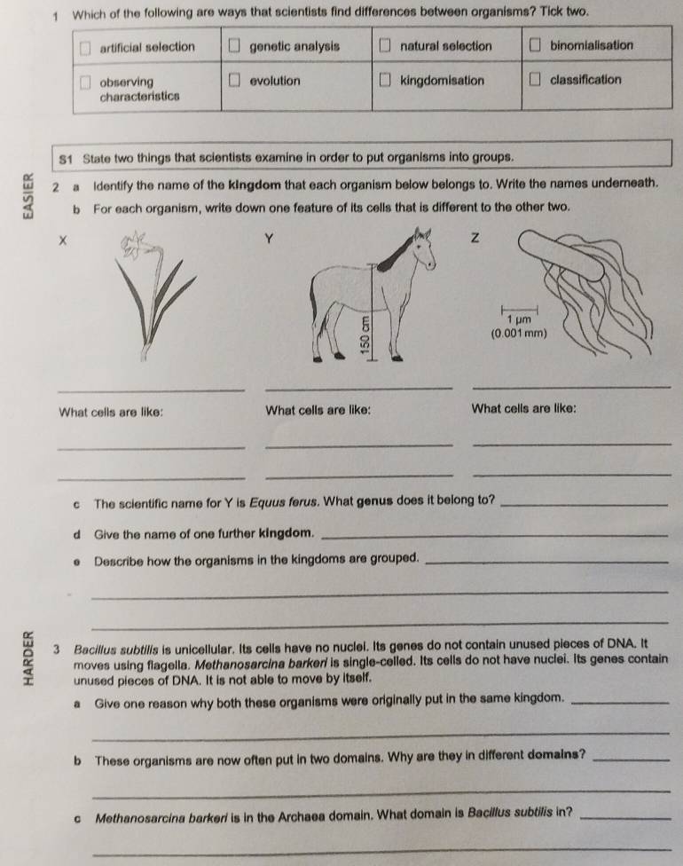 Which of the following are ways that scientists find differences between organisms? Tick two. 
S1 State two things that scientists examine in order to put organisms into groups. 
2 a identify the name of the kingdom that each organism below belongs to. Write the names underneath. 
b For each organism, write down one feature of its cells that is different to the other two. 
Y 
z 
_ 
_ 
_ 
What cells are like: What cells are like: What cells are like: 
_ 
_ 
_ 
_ 
_ 
_ 
c The scientific name for Y is Equus ferus. What genus does it belong to?_ 
d Give the name of one further kingdom._ 
Describe how the organisms in the kingdoms are grouped._ 
_ 
_ 
3 Bacillus subtilis is unicellular. Its cells have no nuclel. Its genes do not contain unused pieces of DNA. It 
moves using flagella. Methanosarcina barker' is single-celled. Its cells do not have nuclei. Its genes contain 
unused pieces of DNA. It is not able to move by itself. 
a Give one reason why both these organisms were originally put in the same kingdom._ 
_ 
b These organisms are now often put in two domains. Why are they in different domains?_ 
_ 
c Methanosarcina barkeri is in the Archaea domain. What domain is Bacillus subtilis in?_ 
_