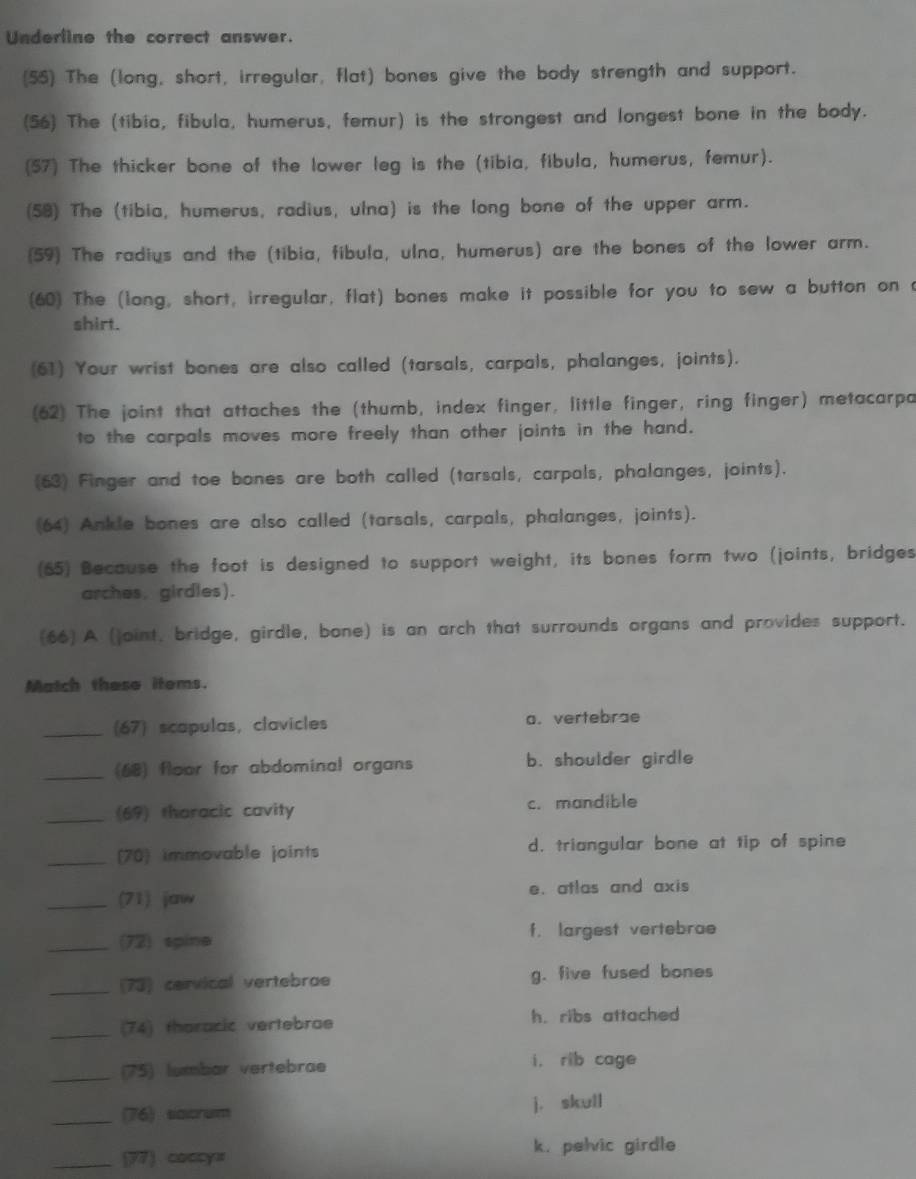 Underline the correct answer.
(55) The (long, short, irregular, flat) bones give the body strength and support.
(56) The (tibia, fibula, humerus, femur) is the strongest and longest bone in the body.
(57) The thicker bone of the lower leg is the (tibia, fibula, humerus, femur).
(58) The (tibia, humerus, radius, ulna) is the long bone of the upper arm.
(59) The radius and the (tibia, fibula, ulna, humerus) are the bones of the lower arm.
(60) The (long, short, irregular, flat) bones make it possible for you to sew a button on a
shirt.
(61) Your wrist bones are also called (tarsals, carpals, phalanges, joints).
(62) The joint that attaches the (thumb, index finger, little finger, ring finger) metacarpa
to the carpals moves more freely than other joints in the hand.
(63) Finger and toe bones are both called (tarsals, carpals, phalanges, joints).
(64) Ankle bones are also called (tarsals, carpals, phalanges, joints).
(65) Because the foot is designed to support weight, its bones form two (joints, bridges
arches. girdles).
(66) A (joint, bridge, girdle, bone) is an arch that surrounds organs and provides support.
Match these items.
_(67) scapulas, clavicles a. vertebrae
_(68) floor for abdominal organs b. shoulder girdle
_(69) thoracic cavity c. mandible
_(70) immovable joints d. triangular bone at tip of spine
_(71) jaw e. atlas and axis
_(72) spine f. largest vertebrae
_(73) cervical vertebrae g. five fused bones
_(74) thoracic vertebrae h. ribs attached
_(75) lumbar vertebrae i, rib cage
_(76) sacrum j. skull
_(7) coccys k. pelvic girdle