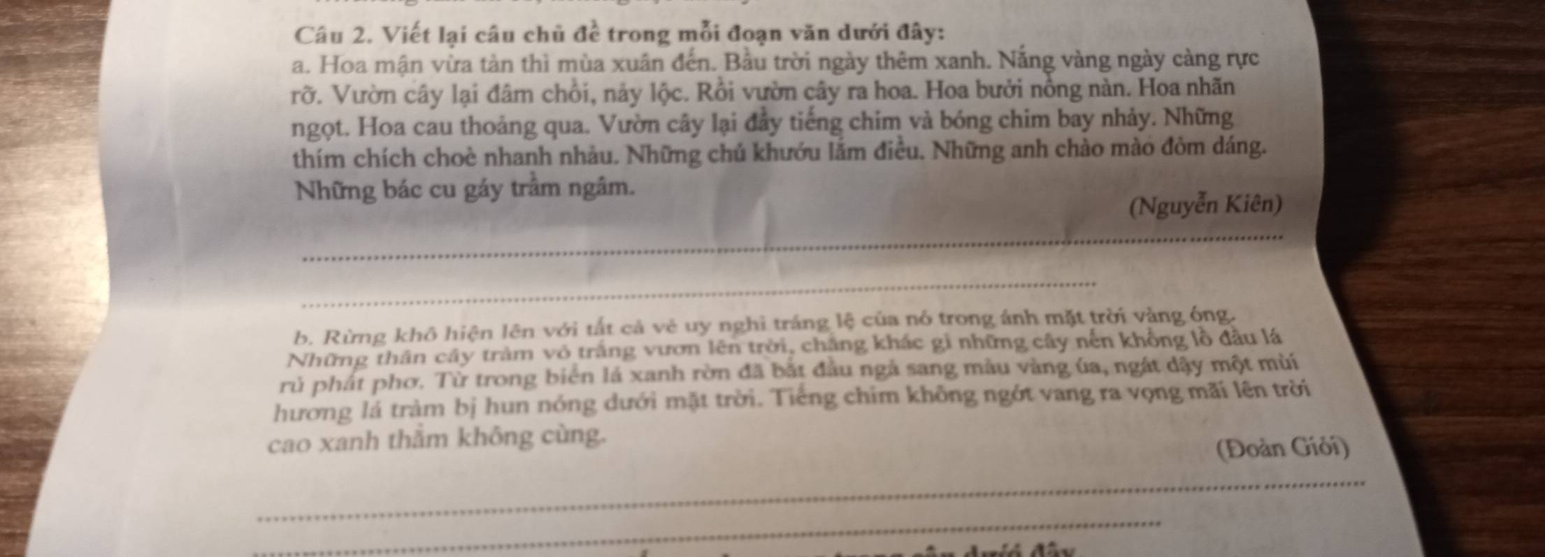 Viết lại câu chủ đề trong mỗi đoạn văn dưới đây: 
a. Hoa mận vừa tản thì mùa xuân đến. Bầu trời ngày thêm xanh. Nắng vàng ngày càng rực 
rỡ. Vườn cây lại đâm chồi, nảy lộc. Rồi vườn cây ra hoa. Hoa bưởi nồng nàn. Hoa nhãn 
ngọt. Hoa cau thoảng qua. Vườn cây lại đầy tiếng chim và bóng chim bay nhảy. Những 
thím chích choè nhanh nhảu. Những chủ khướu lắm điều. Những anh chào mào đòm dáng. 
Những bác cu gáy trầm ngâm. 
(Nguyễn Kiên) 
_ 
_ 
b. Rừng khô hiện lên với tắt cả vẻ uy nghỉ tráng lệ của nó trong ánh mặt trời vàng óng. 
Những thân cây tràm vô trắng vươn lên trời, chắng khác gi những cây nến khổng lồ đầu lá 
rủ phát phơ. Từ trong biển lá xanh rờn đã bắt đầu ngà sang màu vàng úa, ngát dậy một mùi 
hương lá tràm bị hun nóng dưới mặt trời. Tiếng chim không ngớt vang ra vọng mãi lên trời 
cao xanh thằm không cùng. 
(Đoàn Giỏi) 
_ 
_ 
_