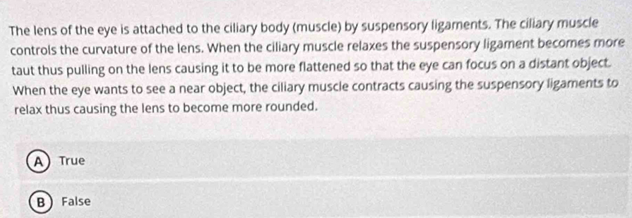 Solved: The lens of the eye is attached to the ciliary body (muscle) by ...