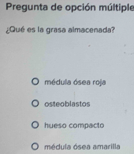 Pregunta de opción múltiple
¿Qué es la grasa almacenada?
médula ósea roja
osteoblastos
hueso compacto
médula ósea amarilla