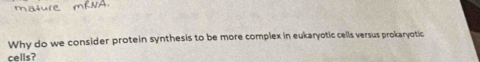 Why do we consider protein synthesis to be more complex in eukaryotic cells versus prokaryotic 
cells?