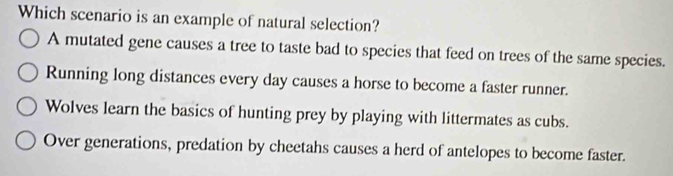 Which scenario is an example of natural selection?
A mutated gene causes a tree to taste bad to species that feed on trees of the same species.
Running long distances every day causes a horse to become a faster runner.
Wolves learn the basics of hunting prey by playing with littermates as cubs.
Over generations, predation by cheetahs causes a herd of antelopes to become faster.