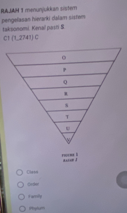 RAJAH 1 menunjukkan sistem
pengelasan hierarki dalam sistem
taksonomi. Kenal pasti S.
C1(1,2741)C
o
P
Q
R
s
T
U
V
figure 1
nalan I
Class
Order
Family
Phylum