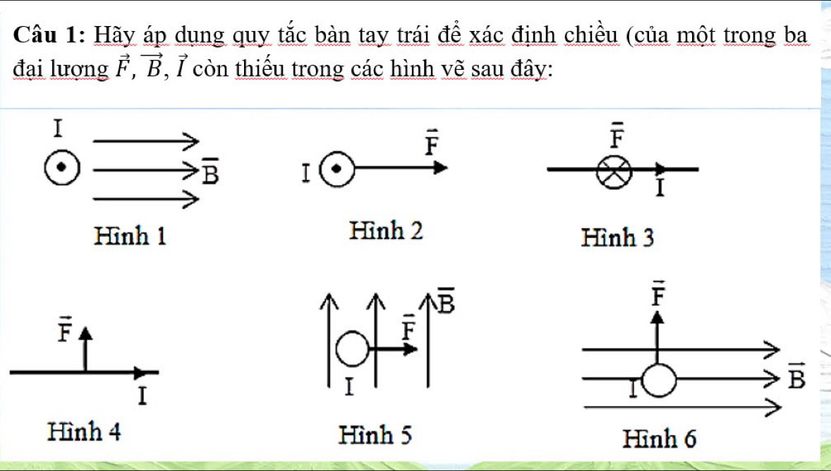 Hãy áp dụng quy tắc bàn tay trái để xác định chiều (của một trong ba
đại lượng vector F,vector B , 7 còn thiếu trong các hình vẽ sau đây:
vector F
overline F
I
I
Hình 2 Hình 3
vector F
I
Hình 4 Hình 5