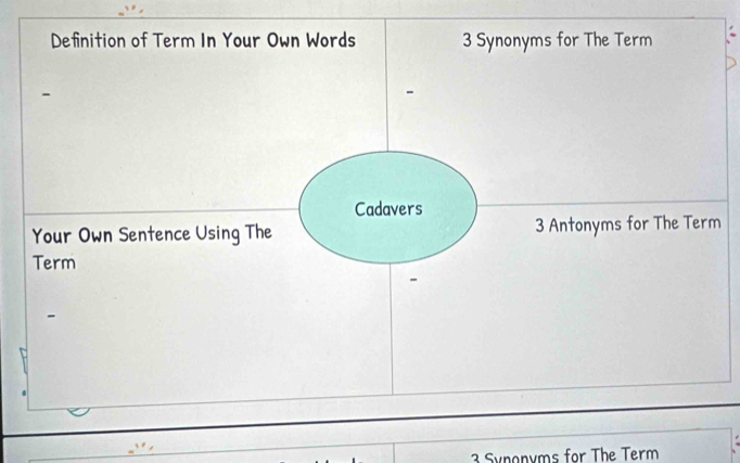 Synonyms for The Term