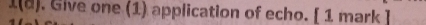 1(d). Give one (1) application of echo. [ 1 mark ]