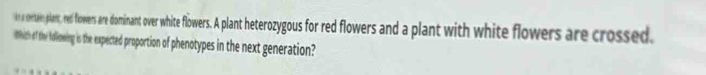 a cortain plant, red flowers are dominant over white flowers. A plant eryguor red flowers an and a plant white flowers are crossed. 
Which of the following is the expected proportion of phenotypes in the next generation?