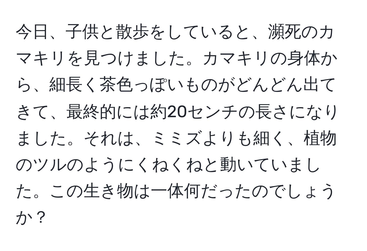 今日、子供と散歩をしていると、瀕死のカマキリを見つけました。カマキリの身体から、細長く茶色っぽいものがどんどん出てきて、最終的には約20センチの長さになりました。それは、ミミズよりも細く、植物のツルのようにくねくねと動いていました。この生き物は一体何だったのでしょうか？