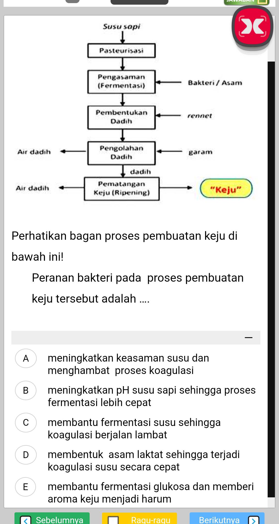 Perhatikan bagan proses pembuatan keju di
bawah ini!
Peranan bakteri pada proses pembuatan
keju tersebut adalah ....
A meningkatkan keasaman susu dan
menghambat proses koagulasi
B meningkatkan pH susu sapi sehingga proses
fermentasi lebih cepat
C membantu fermentasi susu sehingga
koagulasi berjalan lambat
D membentuk asam laktat sehingga terjadi
koagulasi susu secara cepat
E membantu fermentasi glukosa dan memberi
aroma keju menjadi harum
Sebelumnya Raqu-raqu Berikutnya