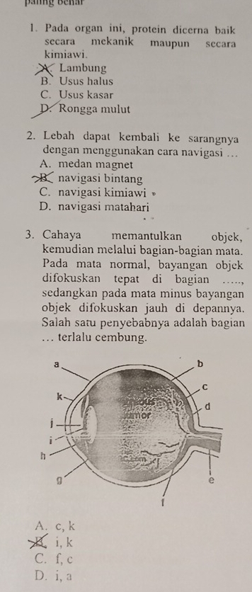 a nng Be n a
1. Pada organ ini, protein dicerna baik
secara mekanik maupun secara
kimiawi.
Lambung
BUsus halus
C. Usus kasar
D. Rongga mulut
2. Lebah dapat kembali ke sarangnya
dengan menggunakan cara navigasi ...
A. medan magnet
B navigasi bintan
C. navigasi kimiawi
D. navigasi matahari
3. Cahaya memantulkan objck,
kemudian melalui bagian-bagian mata.
Pada mata normal, bayangan objck
difokuskan tepat di bagian …,
sedangkan pada mata minus bayangan 
objek difokuskan jauh di depannya.
Salah satu penyebabnya adalah bagian
… terlalu cembung.
A. c, k
B. i, k
C. f, c
D. i, a