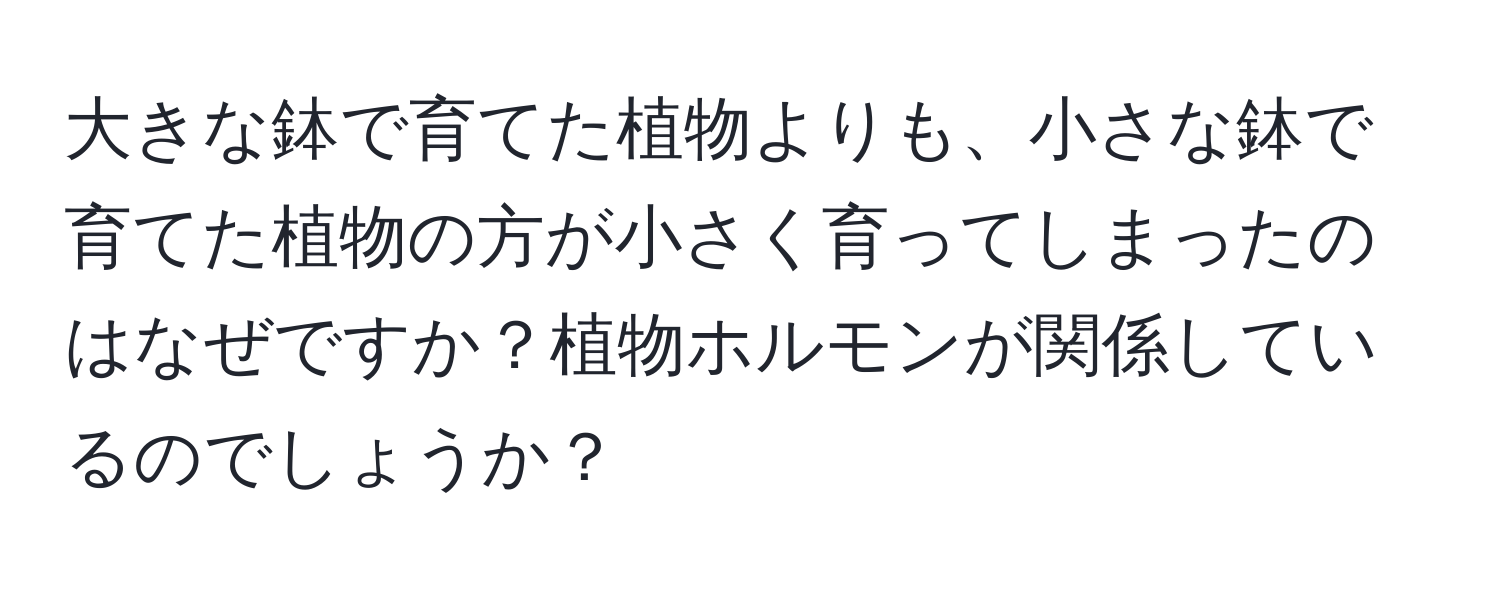 大きな鉢で育てた植物よりも、小さな鉢で育てた植物の方が小さく育ってしまったのはなぜですか？植物ホルモンが関係しているのでしょうか？