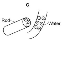 Rod 
Water