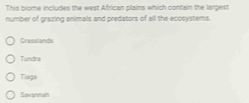 This biome includes the west African plains which contain the largest
number of grazing animals and predators of alll the ecosystems.
Grasslands
Tundra
Tiaga
Savannah