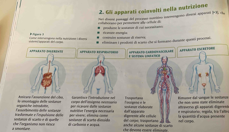 Gli apparati coinvolti nella nutrizione 
Nei diversi passaggi del processo nutritivo intervengono diversi apparati [>3] che 
collaborano per permettere alle cellule di: 
produrre le sostanze di cui necessitano; 
Figura 3 ricavare energia; 
Come intervengono nella nutrizione i diversi costruire sostanze di riserva; 
sistemi/apparati del corpo. 
eliminare i prodotti di scarto che si formano durante questi processi. 
APPARATO DIGERENTE APPARATO RESPIRATORIO APPARATO CARDIOVASCOLARE APPARATO ESCRETORE 
E SISTEMA LINFATICO 
Assicura l'assunzione del cibo, Garantisce l'introduzione nel Trasportano Rimuove dal sangue le sostanze 
lo smontaggio delle sostanze corpo dell'ossigeno necessario l’ossigeno e le che non sono state eliminate 
organiche introdotte, per ricavare dalle sostanze sostanze elaborate attraverso gli apparati digerent 
l'assorbimento delle sostanze nutritive l'energia necessaria dall'apparato e respiratorio; regola, tra l'altré 
trasformate e l'espulsione delle per vivere; elimina come digerente alle cellule la quantità d'acqua presente 
sostanze di scarto e di quelle sostanze di scarto diossido del corpo; trasportano nel corpo. 
che l'organismo non riesce di carbonio e acqua. anche alcune sostanze di scarto 
a smontare. che devono essere eliminate.