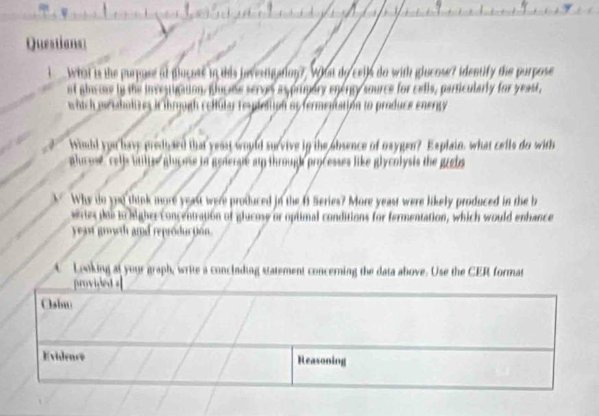 Questions 
what is the purpuse at plucase in this investigation? What do cells do with glucose? identify the purpose 
at abcose in the invealigation. plucose serves as pripary energy source for cells, particularly for yeast, 
which metabolizes i ihrgugh relfular re-pieaion oy fermentation to produce energy 
hiuhd you have predbaed that yeast would survive in the obsence of oxygen? Explain, what cells do with 
aho use, cells btilise glycose io genergle am through processes like glycolysis the grebs 
Why do you thiok more yeast were produced in the 6 Series? More yeast were likely produced in the b 
series the to higher concentration of glucose or optimal conditions for fermentation, which would enhance 
yeast gowth and reproduc tion. 
Lrwking at your graph, write a concloding statement concerning the data above. Use the CER format 
provided = 
Clsim 
Evidence Reasoning