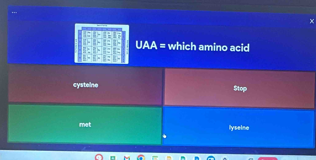 +2 = which amino acid 
cysteine 
Stop 
met 
lyseine