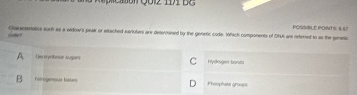 Replication Q0Iz 11/1 BG
POSSIBLE POINTS: 6.67
Charactenaties such as a widow's peak or attached eariobes are determined by the genetic code. Which components of DNA are referred to as the genetic
A Geceyrsese sugars C Hydrogen bonds
B himgenous bases D Phosphate groups