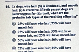 In dogs, wire hair (S) is dominant, and smooth
hair (s) is recessive. If both parent dogs are
beterozygous for this trait, what are the
probable hair types of the resulting offspring?
④ 25% will have wire hair; 75% will have
smooth hair
⑧ 25% will have wire hair, 50% will have
coarse hair, and 25% will have smooth hair
50% will have wire hair; 50% will have
smooth hair
◎ 75% will have wire hair; 25% will have