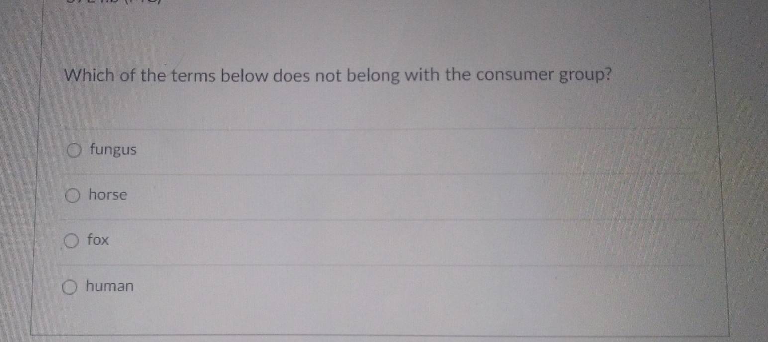 Which of the terms below does not belong with the consumer group?
fungus
horse
fox
human