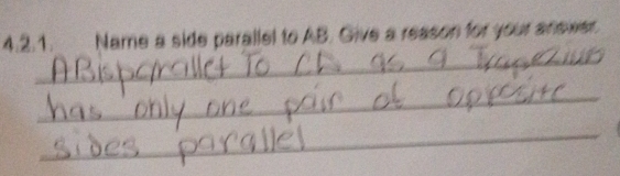 Name a side parallel to AB. Give a reason for your answer. 
_ 
_ 
_