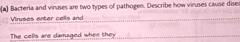 Bacteria and viruses are two types of pathogen. Describe how viruses cause disea 
Viruses enter cells and 
The cells are damaged when they