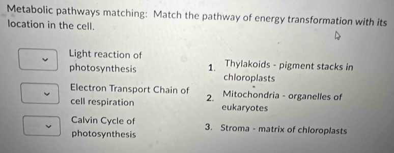 Metabolic pathways matching: Match the pathway of energy transformation with its
location in the cell.
Light reaction of
photosynthesis 1. Thylakoids - pigment stacks in
chloroplasts
Electron Transport Chain of Mitochondria - organelles of
2.
cell respiration eukaryotes
Calvin Cycle of 3. Stroma - matrix of chloroplasts
photosynthesis