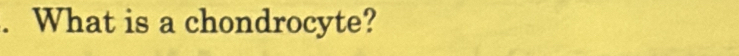 What is a chondrocyte?