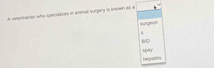 A veterinarian who specializes in animal surgery is known as a
surgeon
BID
spay
hepatitis