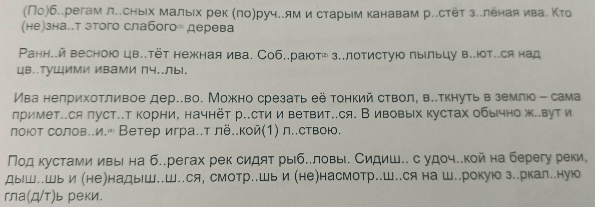 (По)б..регам лесньίх малыιх рек (πо)руч..ям и старыем канавам р..стёт з..леная ивае Κто
(не)зна..т этого слабого дерева
Ρанн..й весною цв..тёт нежная ива. Соб..раютῶ з..лотистую пыльцу в..ют..ся над
цв..туШИмИ ИвамИ пч..Лыl.
Ива нелрихотливое дер..во. Можно срезать её тонкий ствол, ве.ткнуть вземлю - сама
лримет..ся πуст..т корни, начнёт р..сти и ветвит..ся. В ивовых кустах обьчно жвути
лоют солов..и.® Ветер игра..т лё..кой(1) л..ствою.
Подкустами ивыι на б..регах рек сидят рыб..ловы. Сидиш..с удоч.кой на берегу реки,
дыш..шь и (ненадыш..ш..ся, смотр..шь и (не)насмотр..ш..ся на ш..рокую з..ркал..ную
гла(д/т)ь реки.