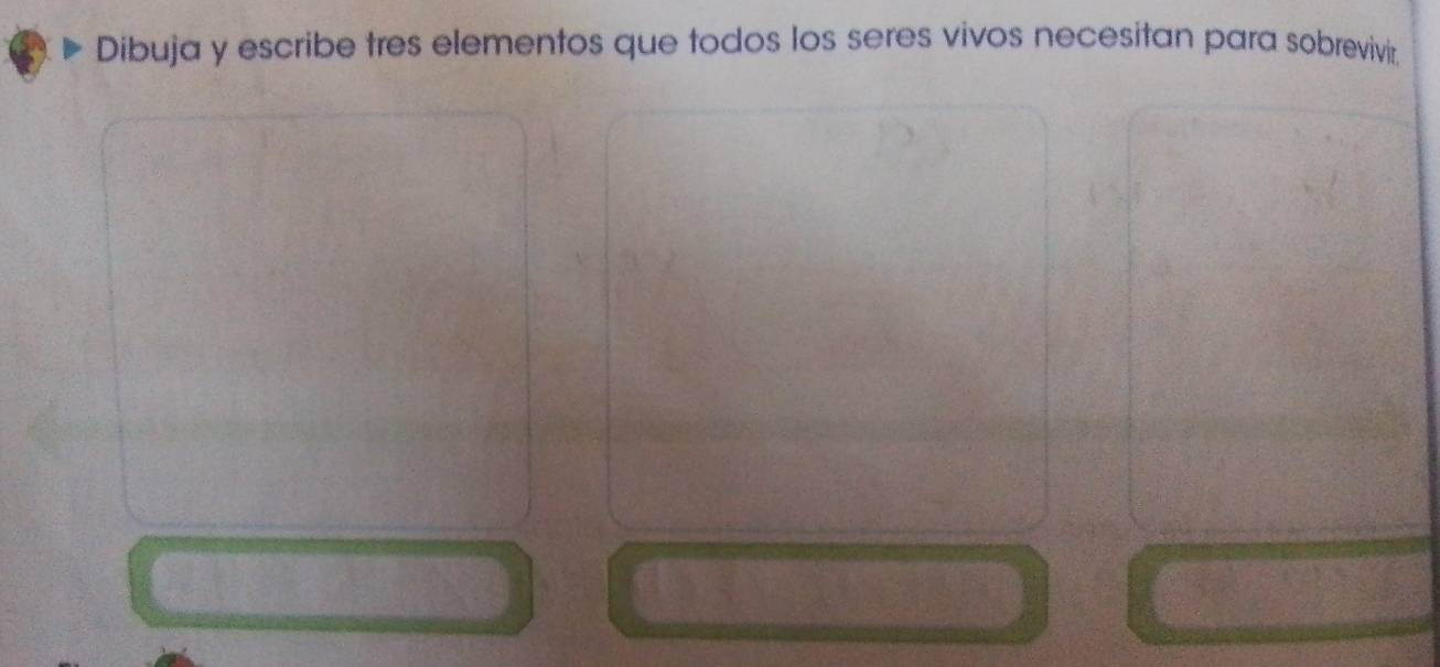 Dibuja y escribe tres elementos que todos los seres vivos necesitan para sobrevivir