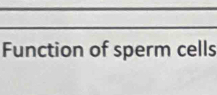 Function of sperm cells