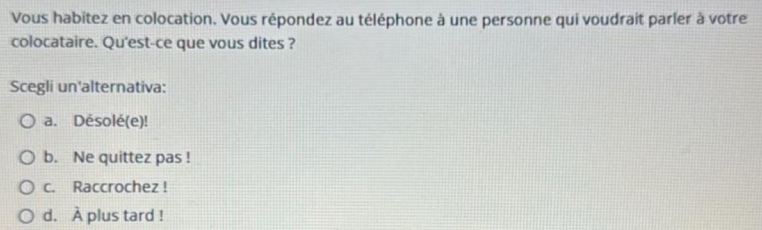 Vous habitez en colocation. Vous répondez au téléphone à une personne qui voudrait parler à votre
colocataire. Qu'est-ce que vous dites ?
Scegli un'alternativa:
a. Désolé(e)!
b. Ne quittez pas !
c. Raccrochez !
d. À plus tard !